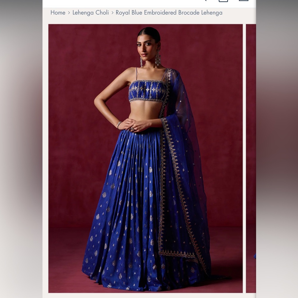 Elegant Royal Blue Embroidered Lehenga